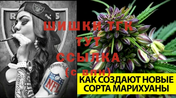 молекула духа Красноперекопск