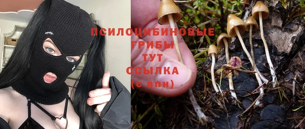 хмурый Краснотурьинск