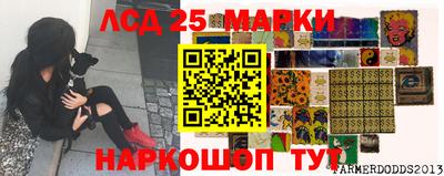 дмт Кинель