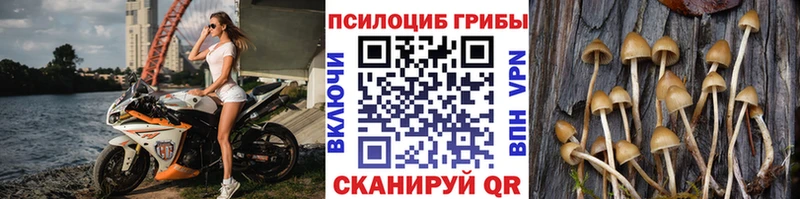 Купить закладки  Крымск  Галлюциногенные грибы MAGIC MUSHROOMS 