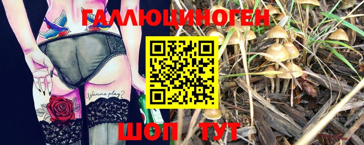 Галлюциногенные грибы прущие грибы Крымск