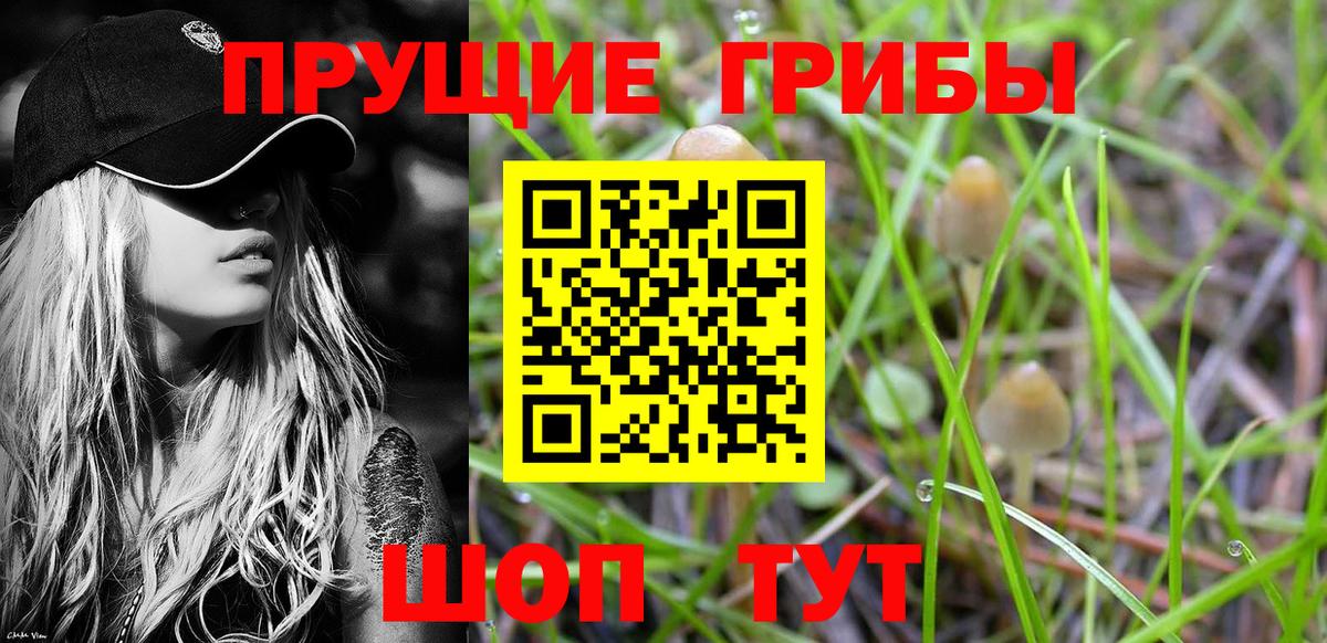 где купить наркоту  Крымск  Псилоцибиновые грибы ЛСД 