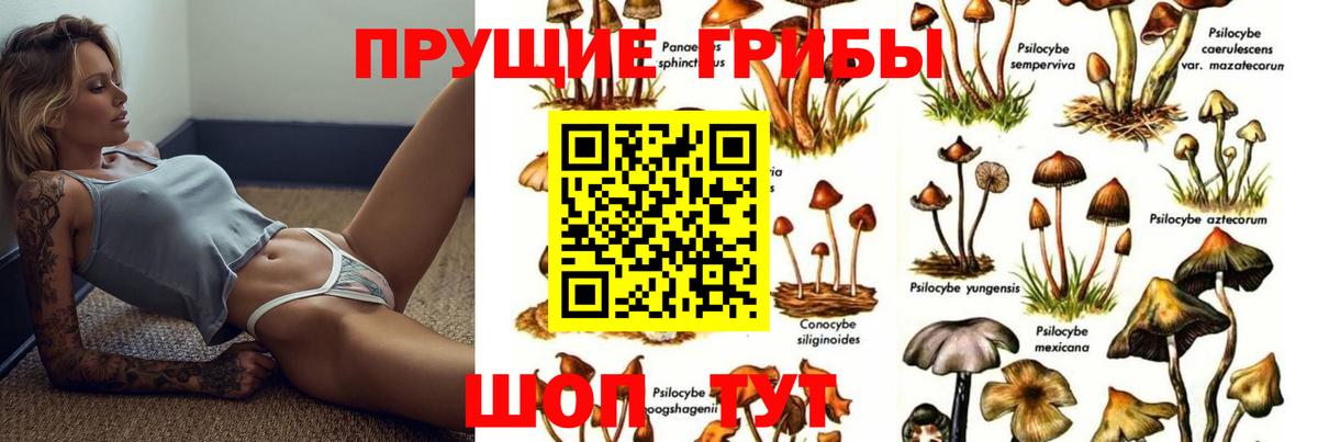 Галлюциногенные грибы Cubensis  Галлюциногенные грибы Psilocybine cubensis  Крымск  Вход с VPN 