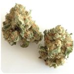 Шишки "White Widow"  (Белая вдова)  Гидропоника -  Бошка VHQ в Крымске